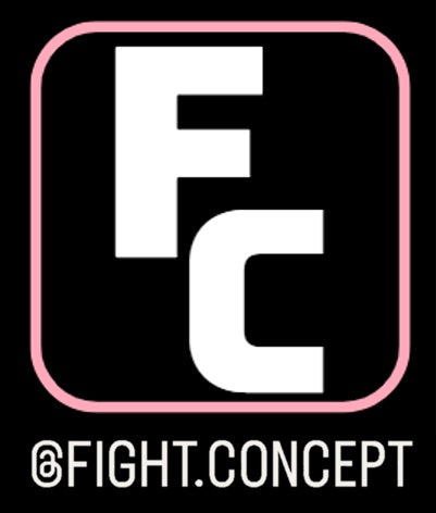 FIGHT CONCEPT