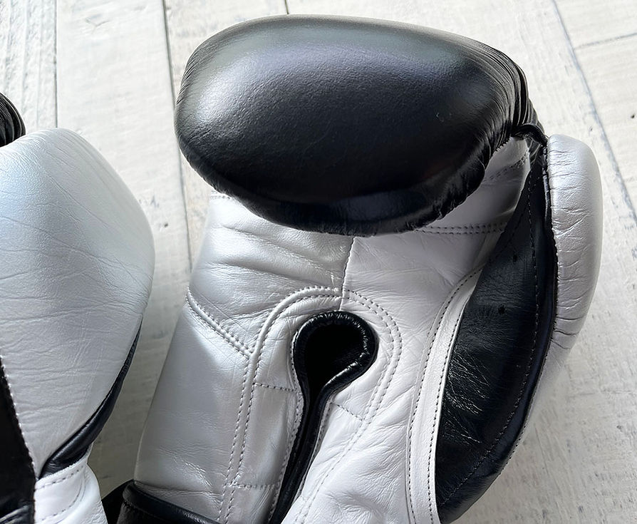 "Professional SS" Prize Ring Boxing Gloves (Black/Silver)