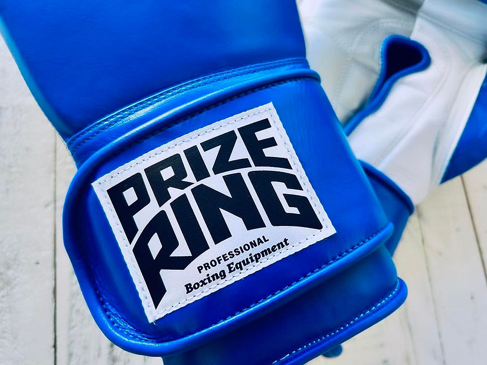 "Professional SS" Prize Ring Boxing Gloves (Blue/Silver/White)