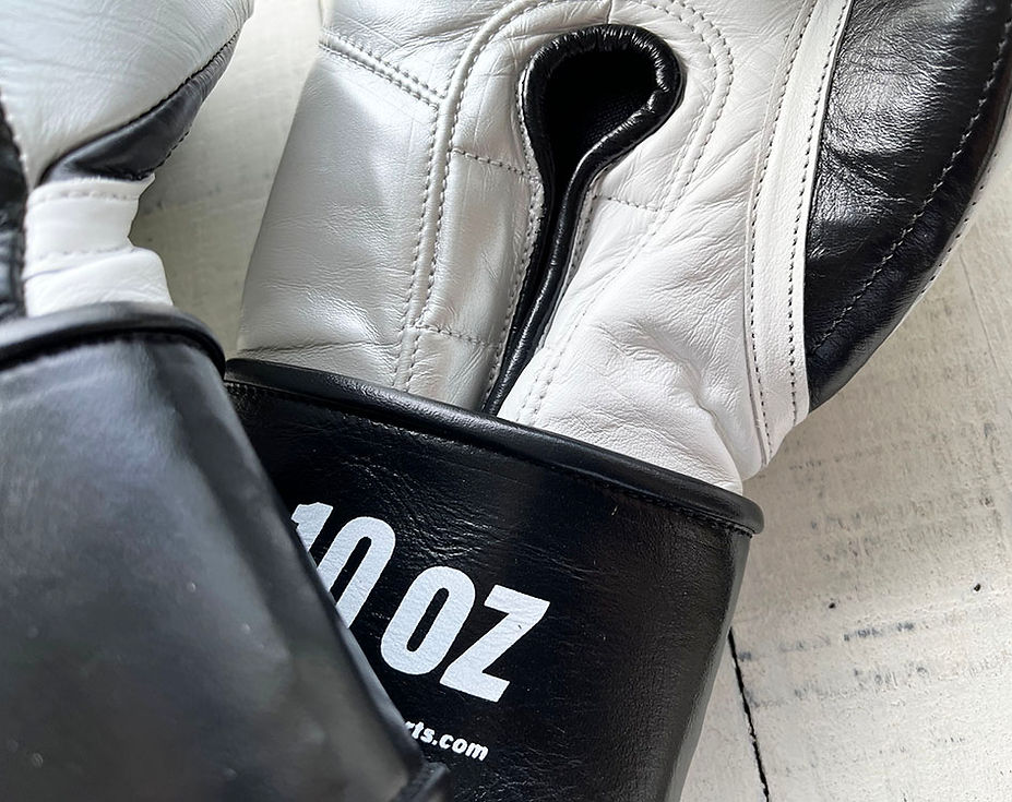 "Professional SS" Prize Ring Boxing Gloves (Black/Silver)